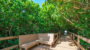 Une terrasse en bois, dotée de bancs, entourée d’un feuillage verdoyant et luxuriant.