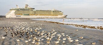 Soak in the Coastal Vibes – Stay by Beautiful Peacock Beach!
