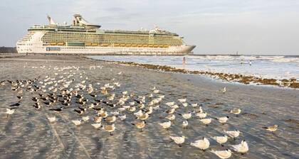 Soak in the Coastal Vibes – Stay by Beautiful Peacock Beach!