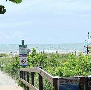 A beach with a wooden fence, a sign prohibiting dogs, and another warning about rip currents.