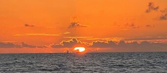 Adorable Beachside Retreat @ Peacock Beach (pet friendly!)