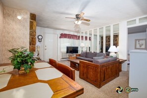 TV, fireplace, video library