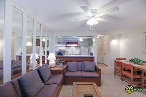 Télévision, cheminée, lecteur de DVD, vidéothèque