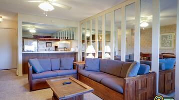 TV, fireplace, DVD player, video library