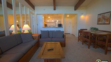 TV, fireplace, DVD player, video library