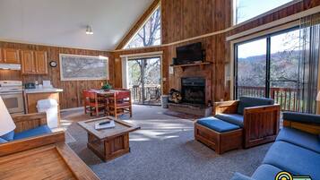 Télévision, cheminée, lecteur de DVD, vidéothèque