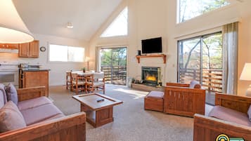 TV, fireplace, DVD player, video library