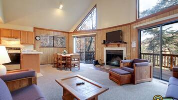 Télévision, cheminée, lecteur de DVD, vidéothèque