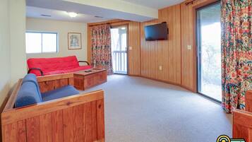 Télévision, cheminée, lecteur de DVD, vidéothèque