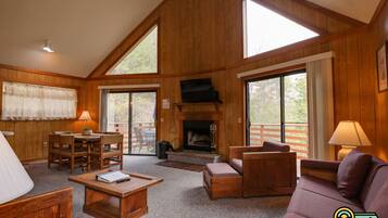 Télévision, cheminée, lecteur de DVD, table de tennis de table