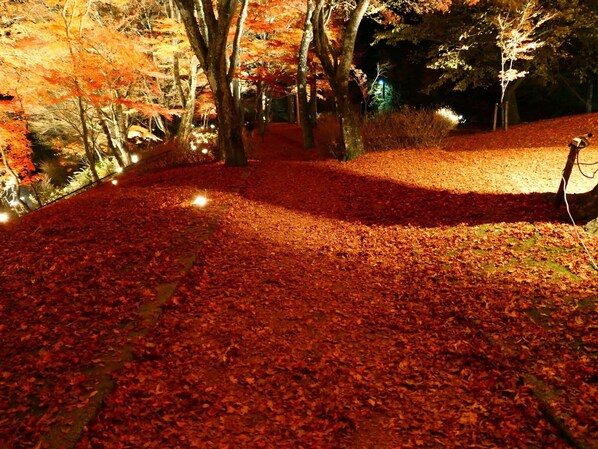 Property grounds - Risumura Villa with Dog Winter With a dedicate / Minamitsuru-gun Yamanashi (Minamitsuru-gun)