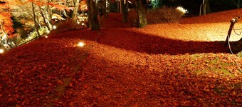 Risumura Villa with Dog Winter   With a dedicate / Minamitsuru-gun Yamanashi