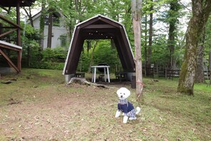 Opções para refeição ao ar livre