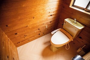 Secador de cabelo, toalhas de banho