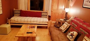 TV, fireplace, video games, DVD player