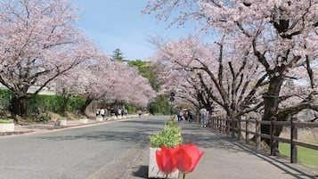 住宿场地