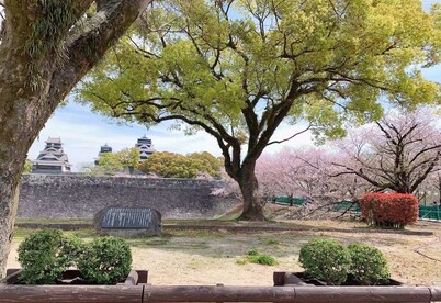 Alpie A102 free parking5 min walk to Kumamoto C / Kumamoto Kumamoto