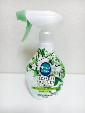 Sèche-cheveux, serviettes fournies