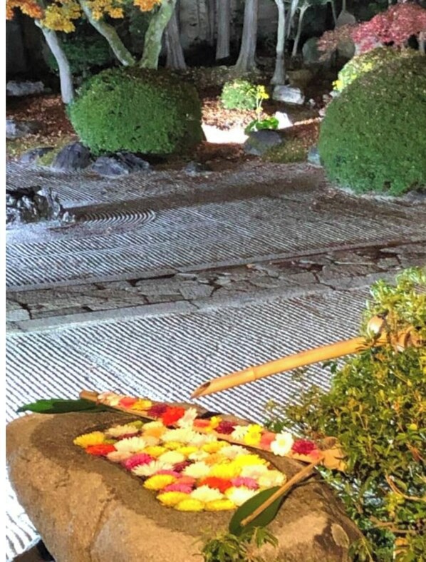 المنطقة المحيطة بالمنشأة