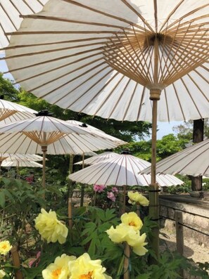 Property grounds - Cozy house 306 free E bike  free portable wifi - No 306 / Kyoto Kyōto (Kyoto)