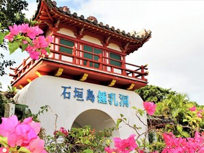 A traditional building with a red roof and green window frames, surrounded by pink bougainvillea flowers.