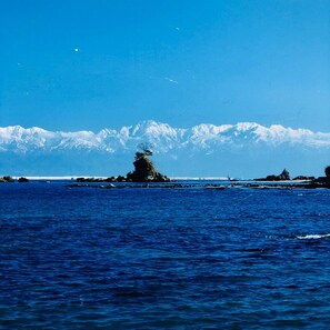 Ranta