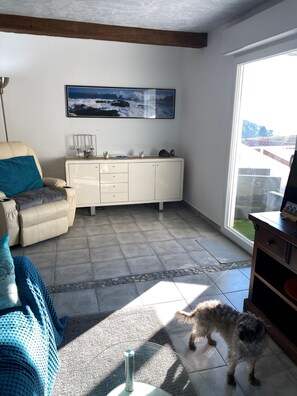 TV connectée, cheminée, livres