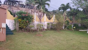 A grassy yard with a yellow wall, a metal gate, and some trees.