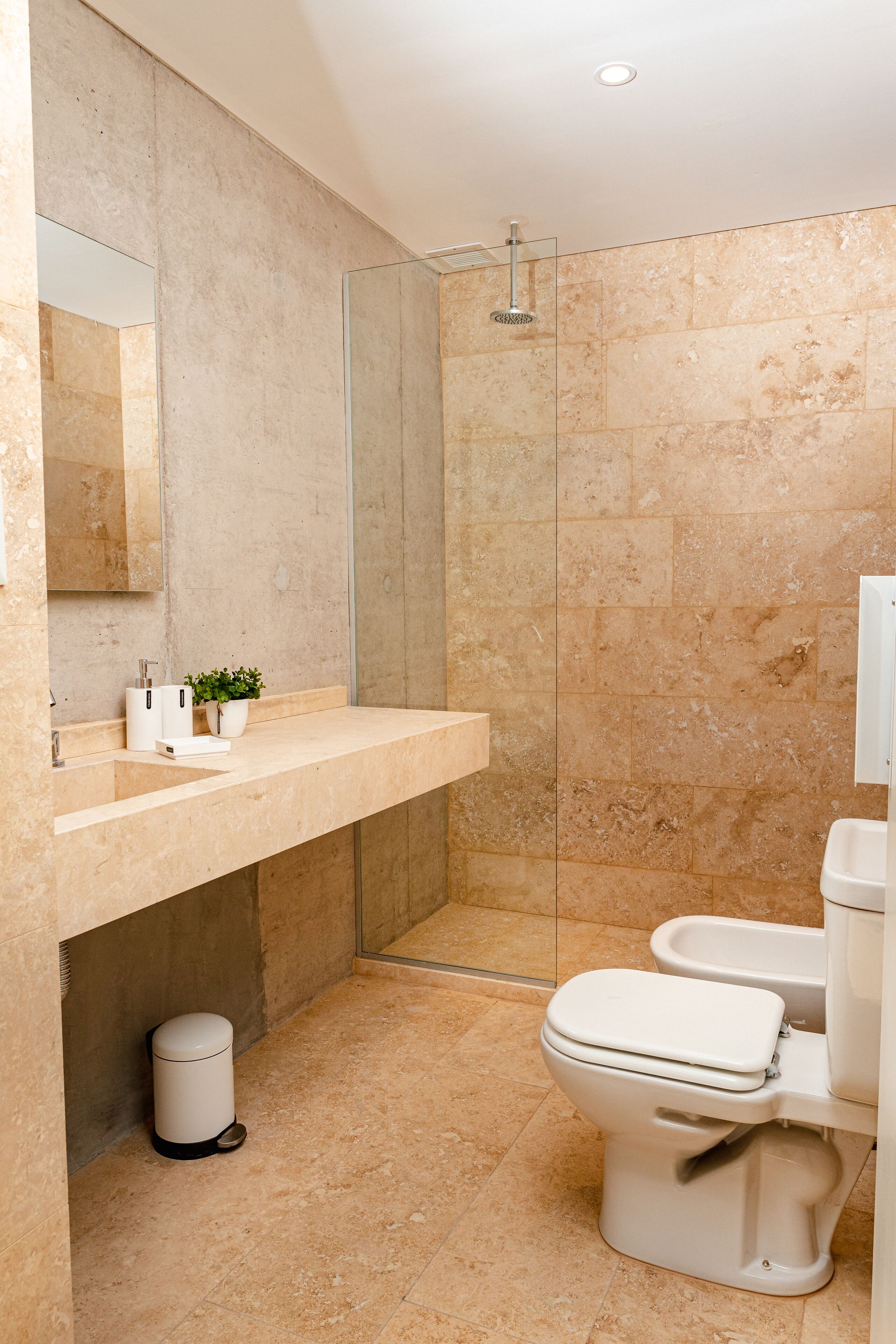 A modern bathroom with a glass shower enclosure, a white toilet, and a beige countertop with a sink and a small potted plant.