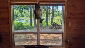 Een houten chalet met een groot raam dat uitkijkt over een bos en een meer.