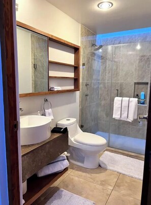 Chuveiro, secador de cabelo, toalhas de banho, sabonete