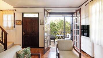 Smart TV, fireplace, books