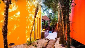 A pathway leading to a covered area with a bench, surrounded by palm trees and a vibrant orange wall. - A Tamarindo Sunset (Tamarindo)