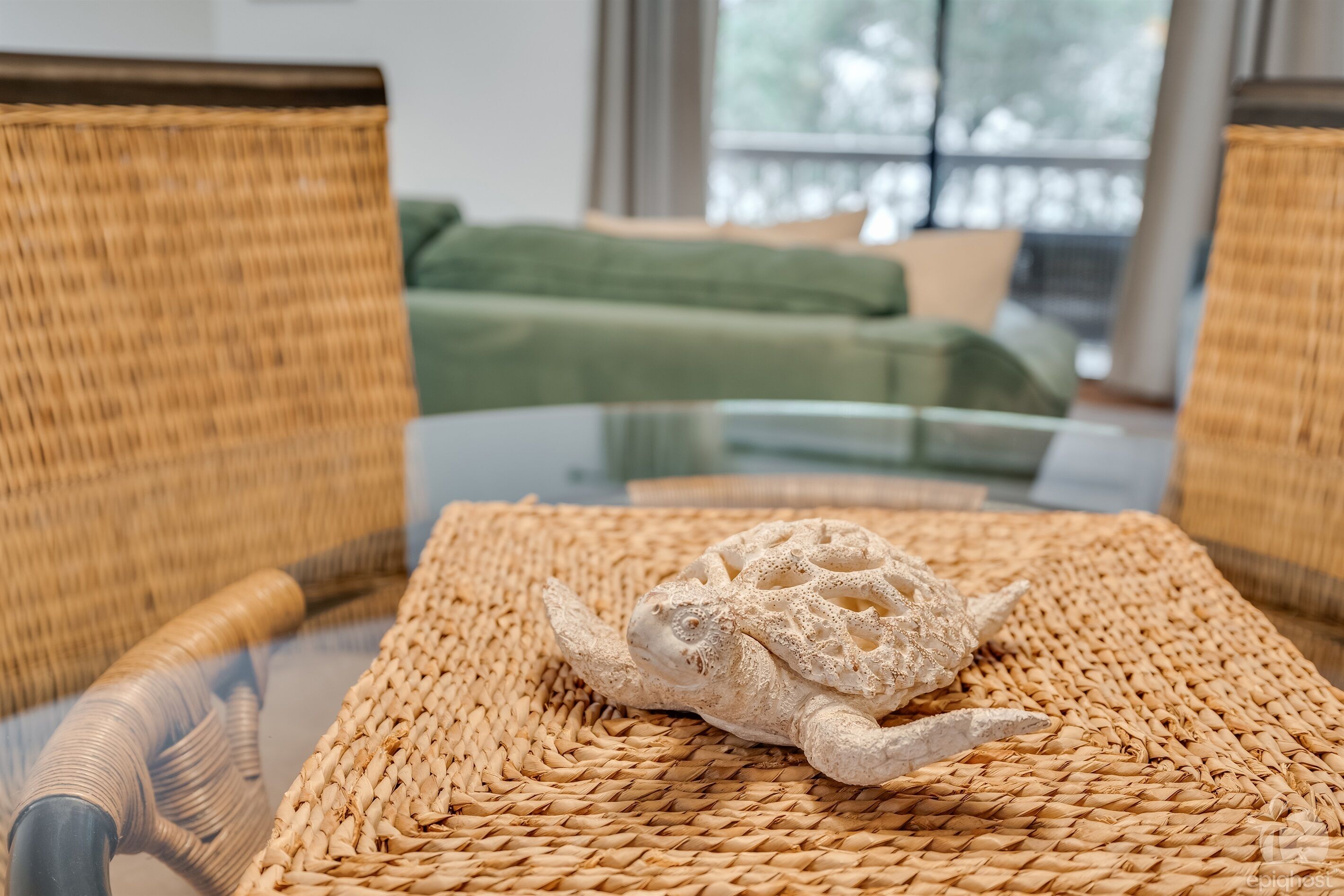 A turtle on a woven mat in a room with wicker furniture and a view of a green couch through a window.