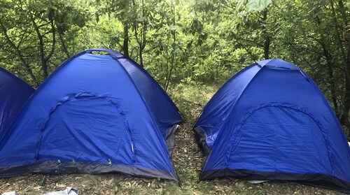 Camp for lovefest