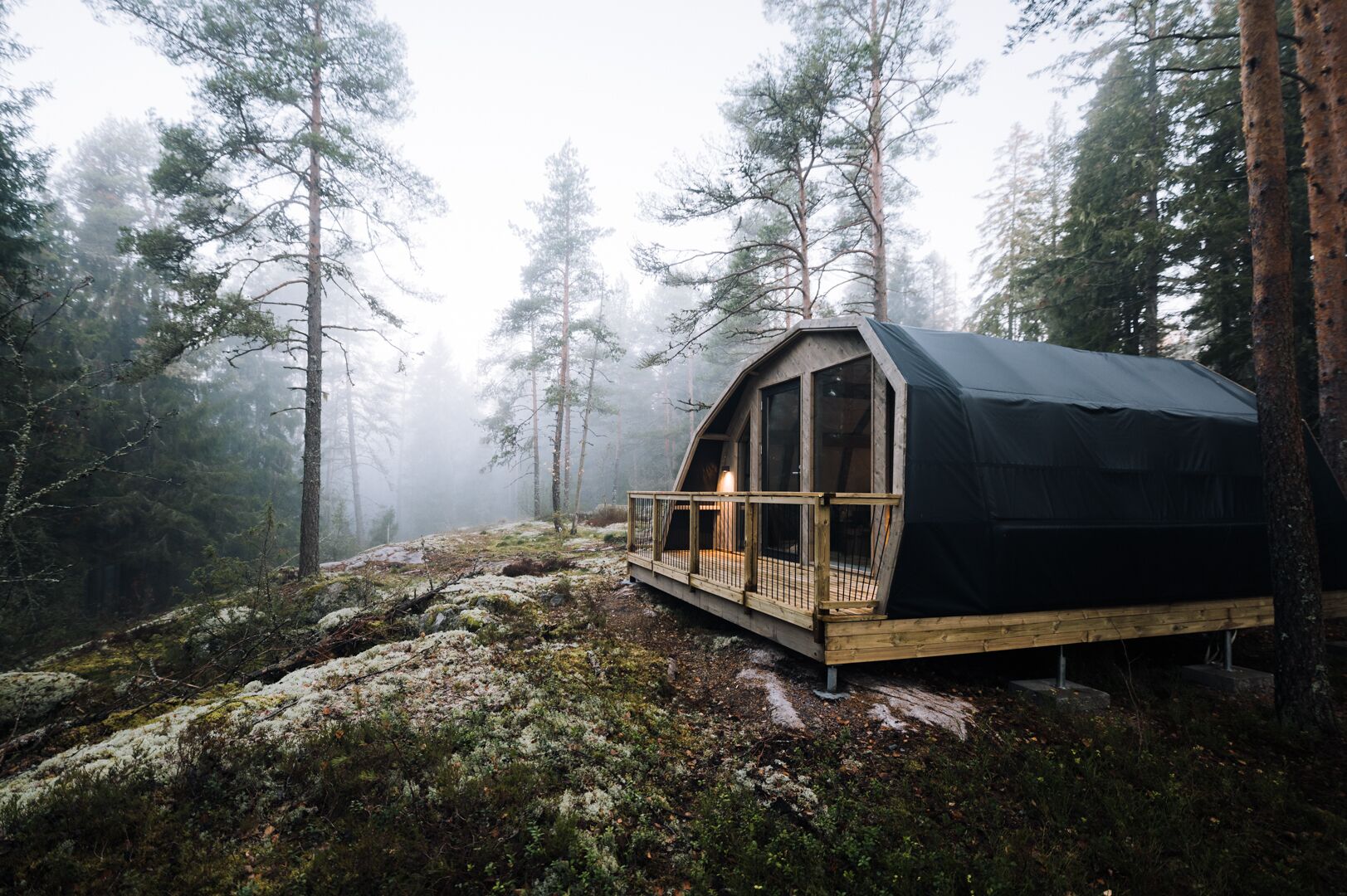 Een rustieke houten hut met een terras en grote ramen, omgeven door een bebost gebied met hoge bomen en een mistige sfeer.