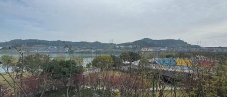 Vista de um bairro residencial com casas e um corpo d'água ao fundo.