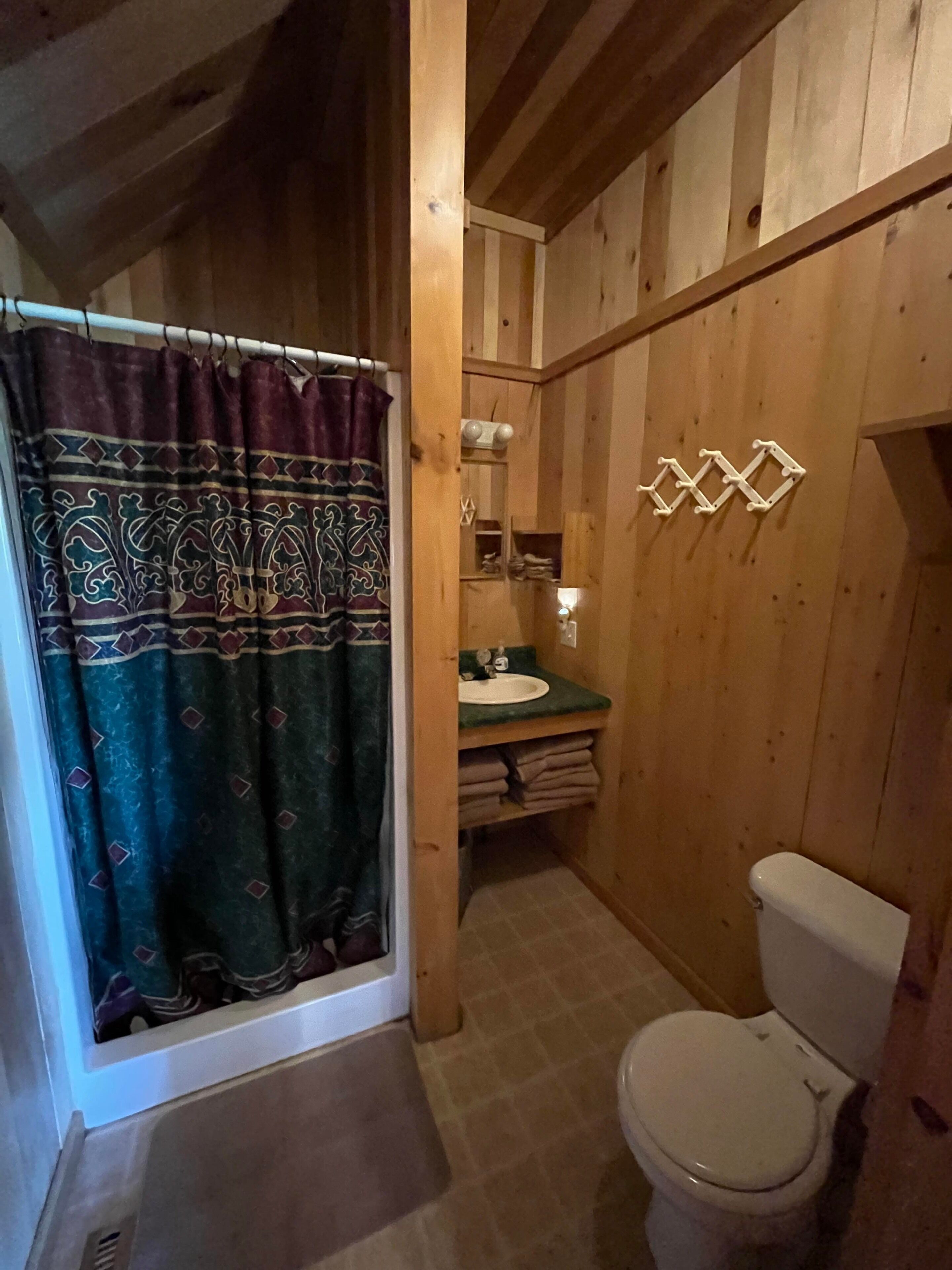 Shower, towels, toilet paper