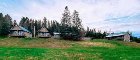 A rustic cabin with a porch and a large tree in the background.