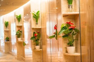 Un pasillo con plantas en macetas sobre estantes.
