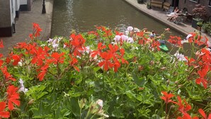 A canal view with buildings on either side, a bench, and flowers in the foreground.