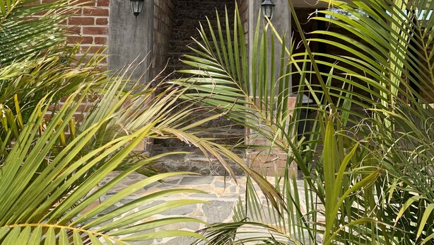 A narrow brick corridor with a metal gate and a decorative peace symbol above it. - Cerritos Baja Eco Pet Friendly Boutique stay (El Pescadero)