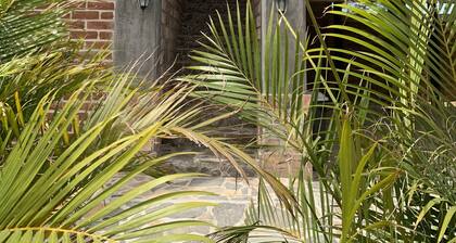 Cerritos Baja Eco Pet Friendly Boutique stay