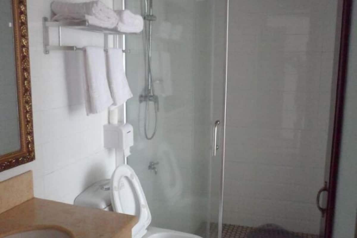 A bathroom with a toilet, a sink, a mirror, a towel rack, and a glass-enclosed shower area.