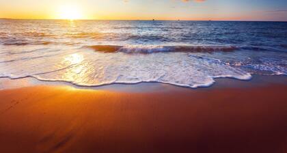 Suite 4-Mins from Airport | Fitness Center + Pool