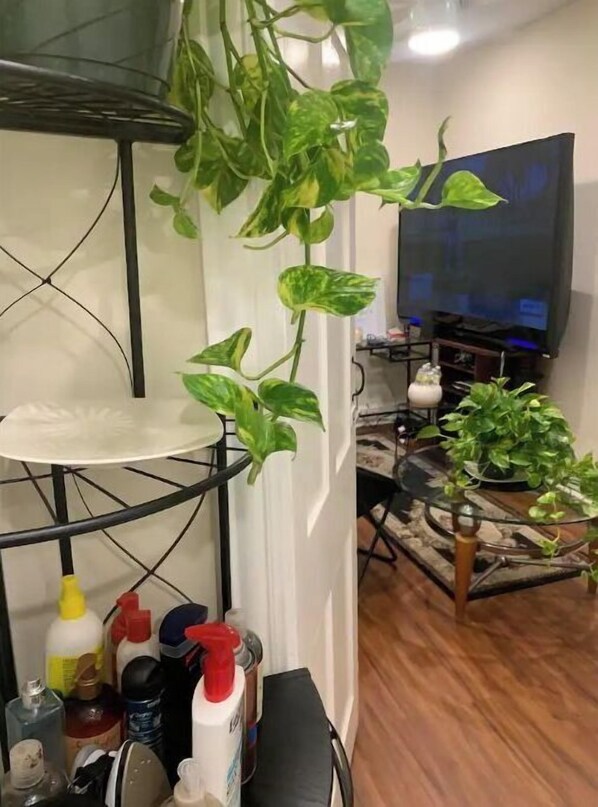 Relax in a stylish space with a large flat-screen TV, potted plants, and a comfortable chair.