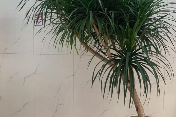 Interior - Xinyi Hotel (Guangzhou)