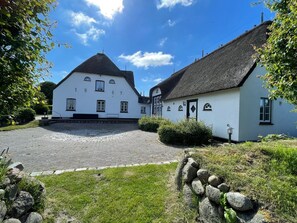 Eksteriør