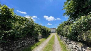 Ein schmaler Kiesweg, der von Steinmauern und üppiger Vegetation gesäumt wird, führt zu einem traditionellen Haus mit Strohdach.