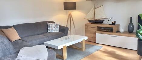 Fernseher, DVD-Player, Tischtennisplatte